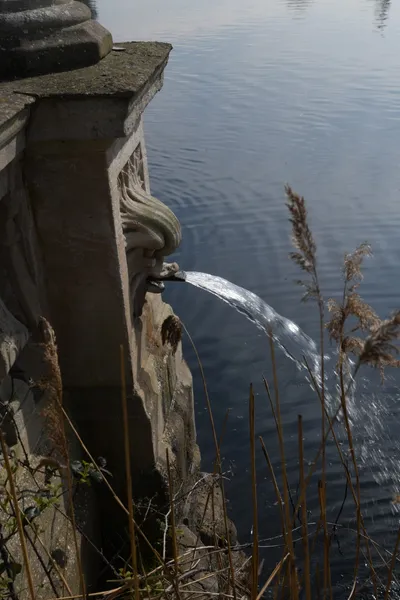 DSC_6886 (Large).JPG